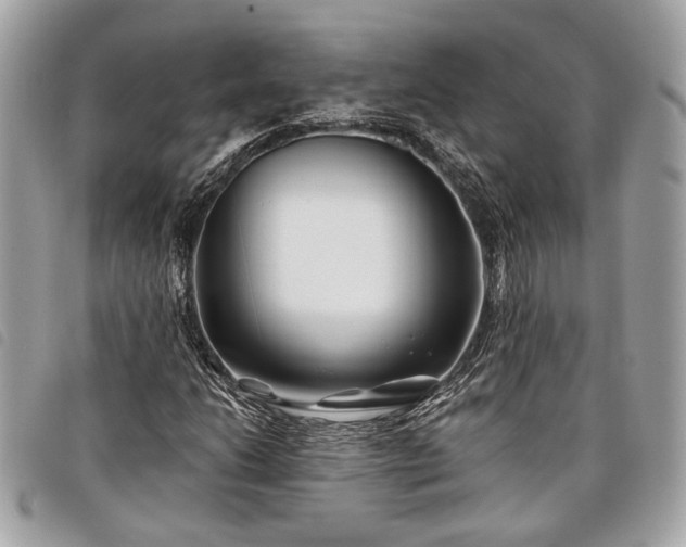 X0000098031206200804071409