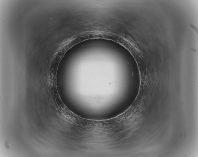 X0000098031207200804071409