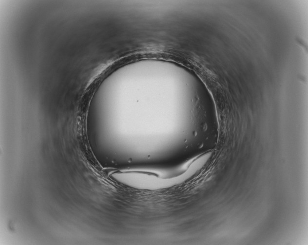 X0000098031208200804071409