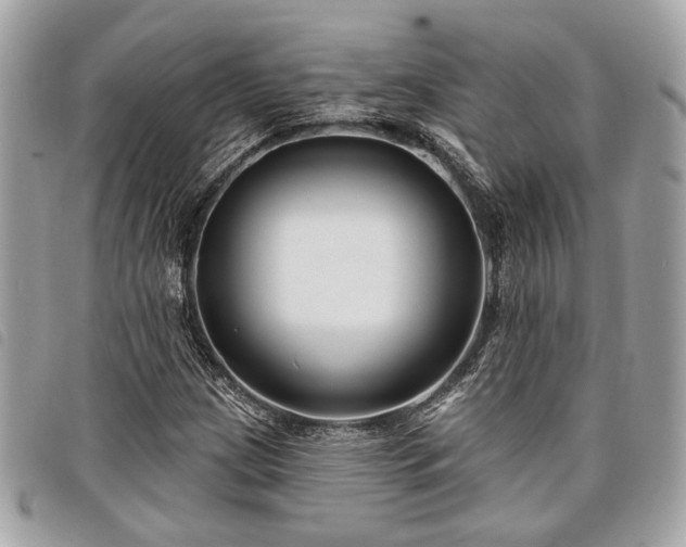 X0000098031209200804071409