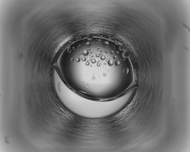 X0000098031210200804071409