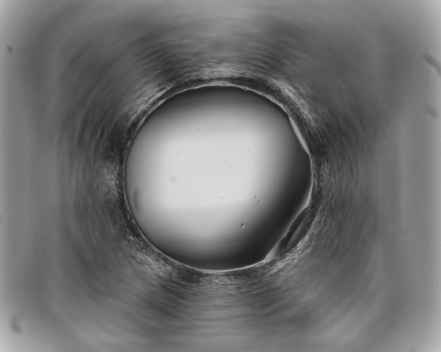 X0000098031217200804071409