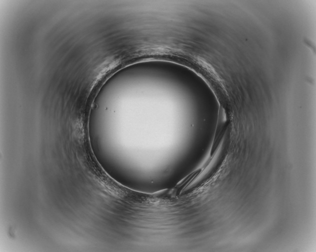 X0000098031218200804071409