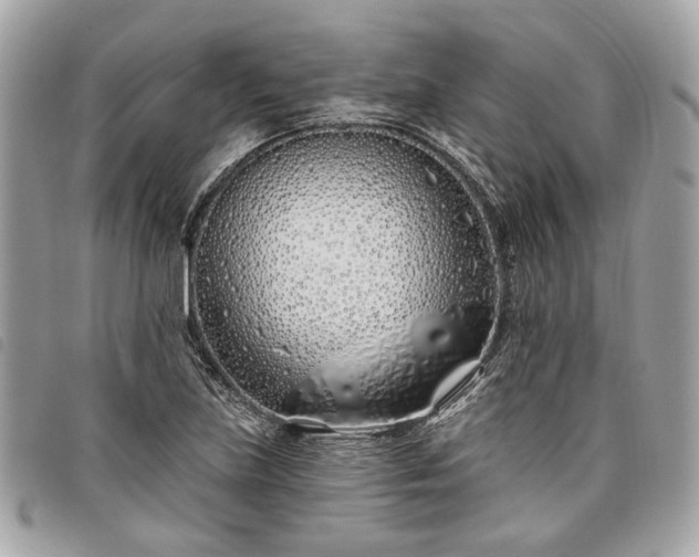 X0000098031219200804071409