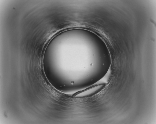 X0000098031220200804071409