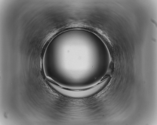 X0000098031221200804071409