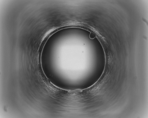 X0000098031222200804071409