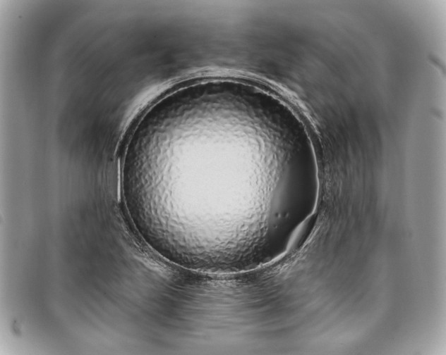 X0000098031223200804071409