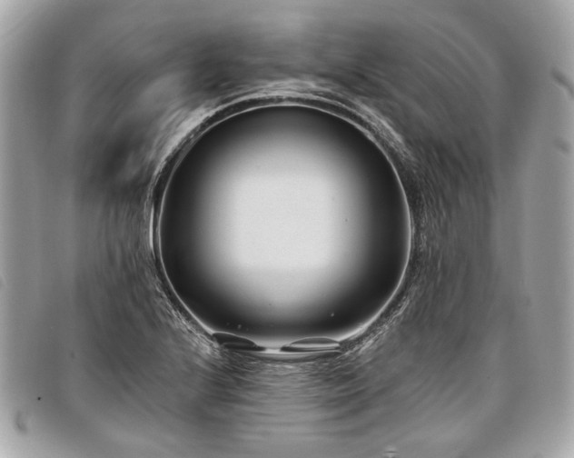 X0000098031224200804071409