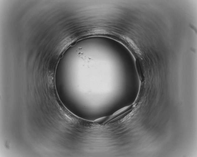 X0000098031225200804071409