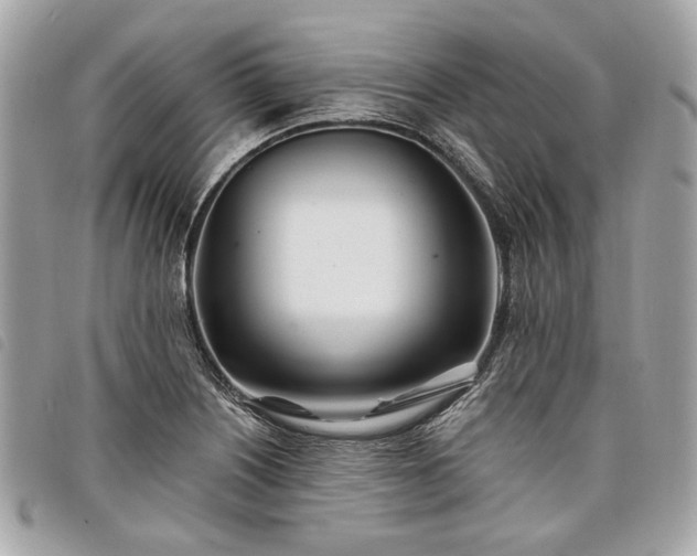 X0000098031226200804071409