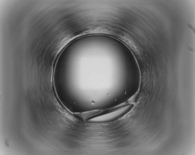 X0000098031228200804071409