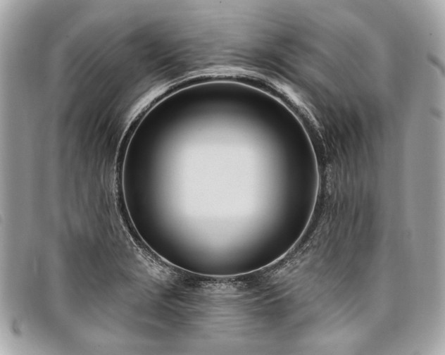 X0000098031229200804071409