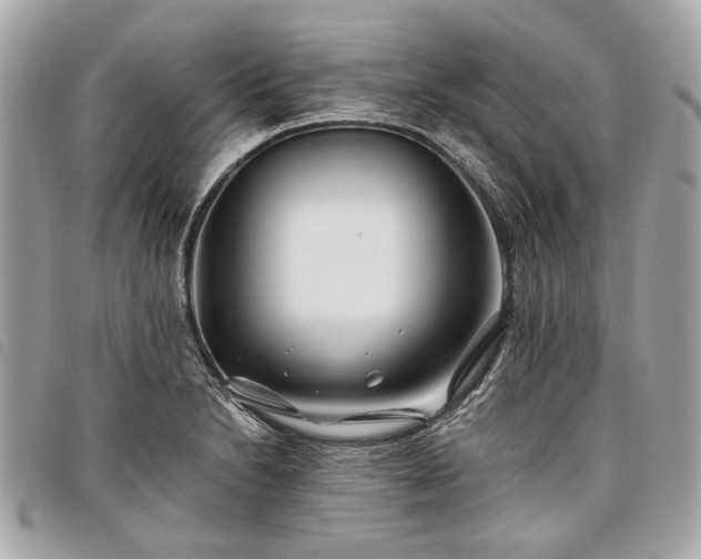 X0000098031230200804071409