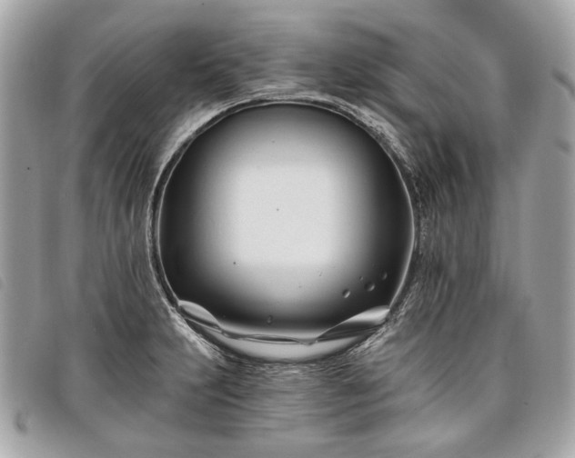 X0000098031231200804071409