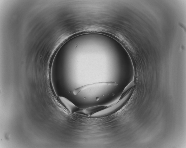 X0000098031232200804071409