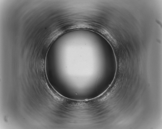 X0000098031233200804071409