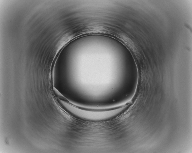 X0000098031234200804071409