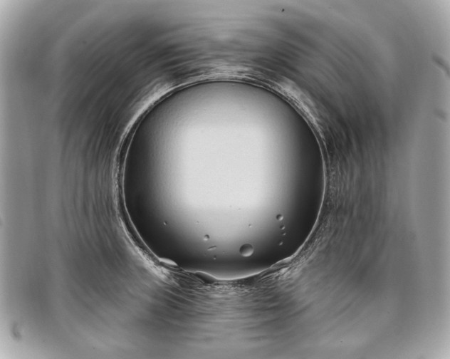 X0000098031235200804071409