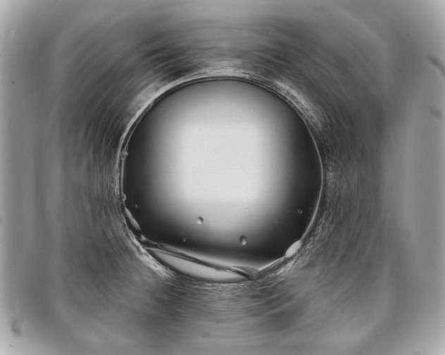 X0000098031236200804071409