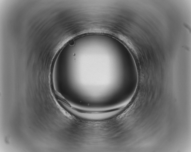 X0000098031237200804071409