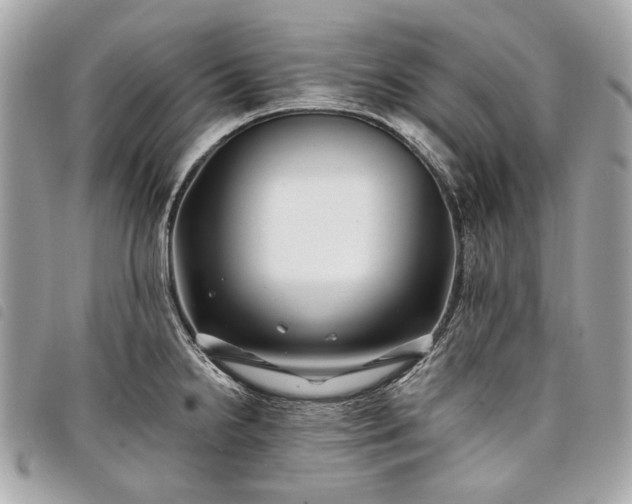 X0000098031238200804071409