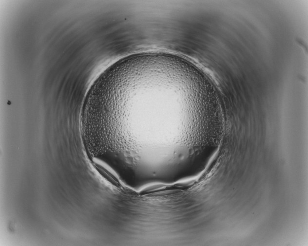 X0000098031239200804071409