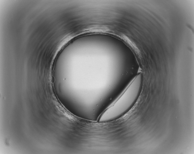 X0000098031240200804071409