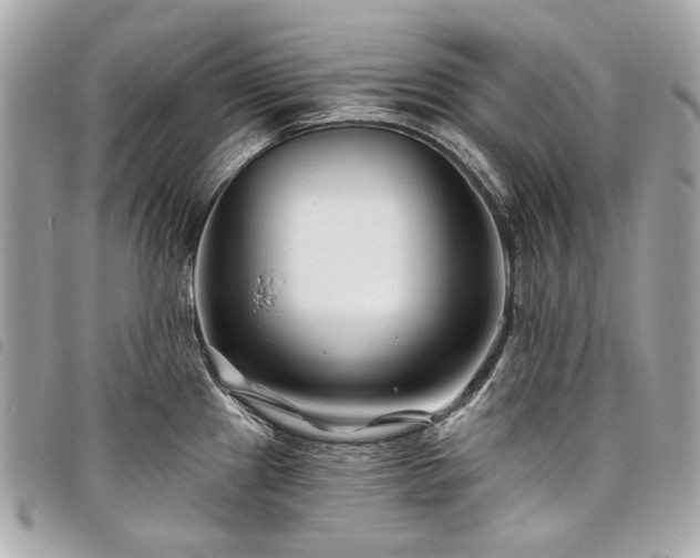 X0000098031241200804071409