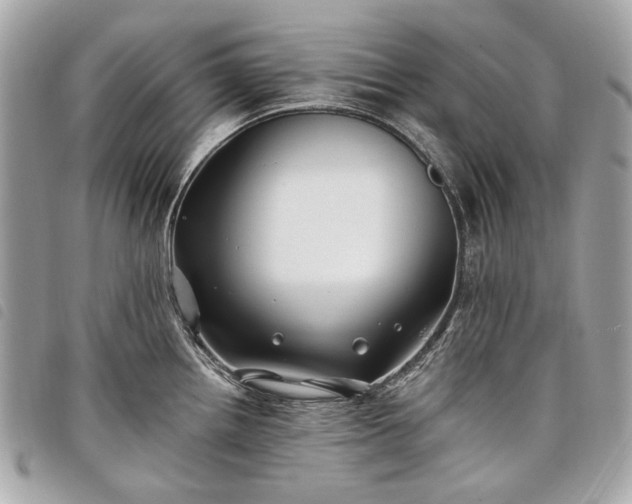 X0000098031242200804071409