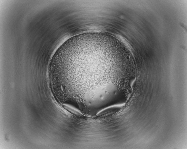 X0000098031243200804071409