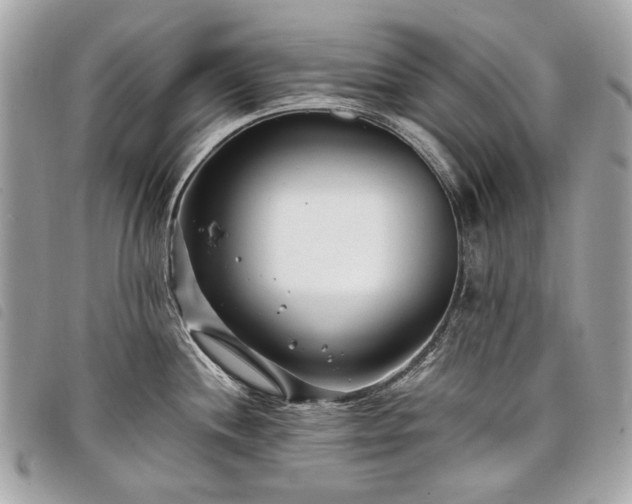 X0000098031244200804071409