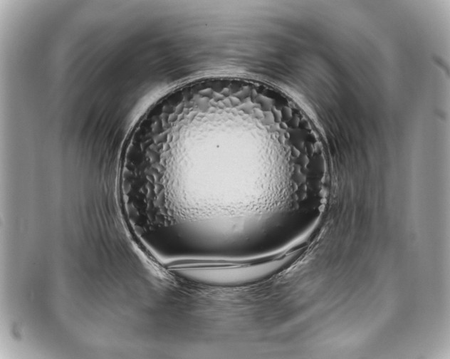 X0000098031245200804071409