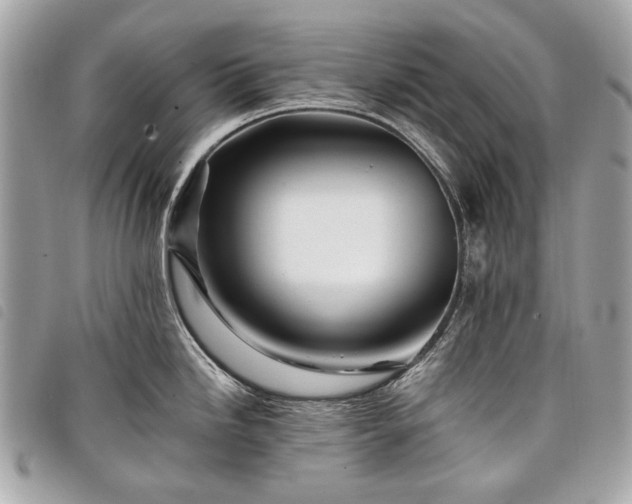 X0000098031246200804071409