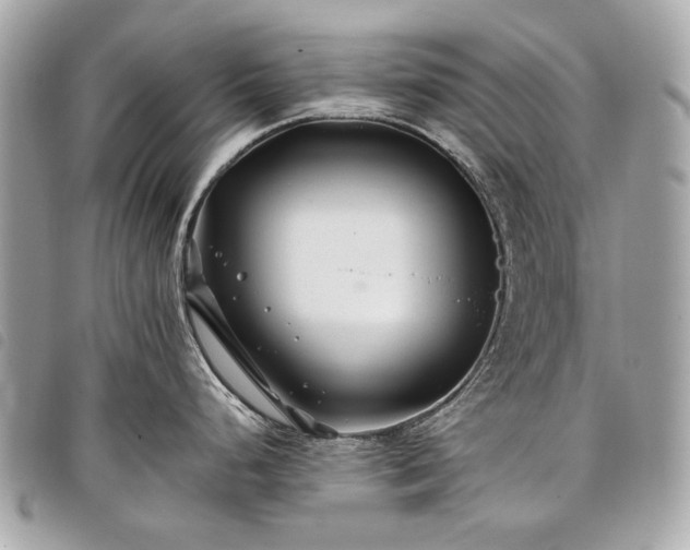 X0000098031248200804071409