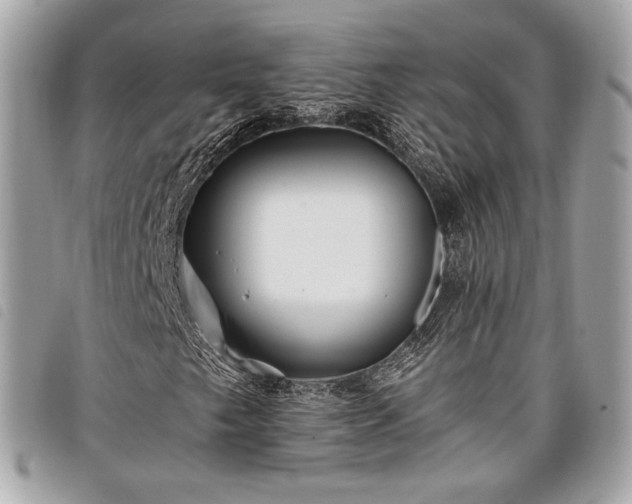 X0000098031249200804071409