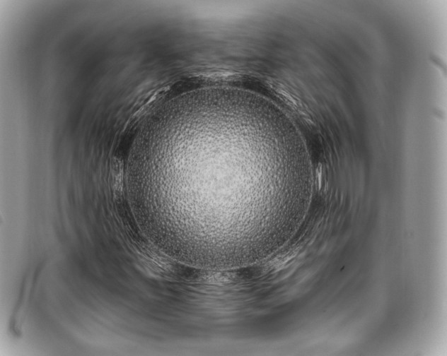 X0000098031251200804071409