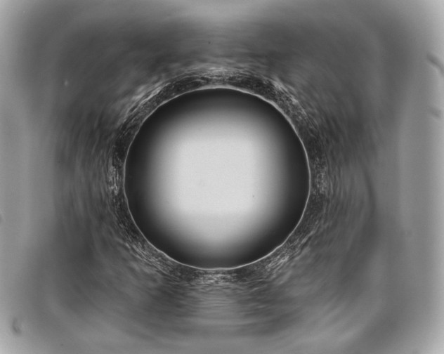 X0000098031253200804071409