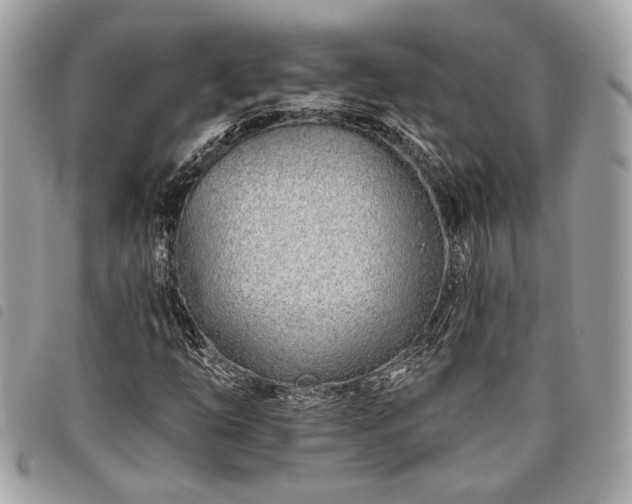 X0000098031254200804071409