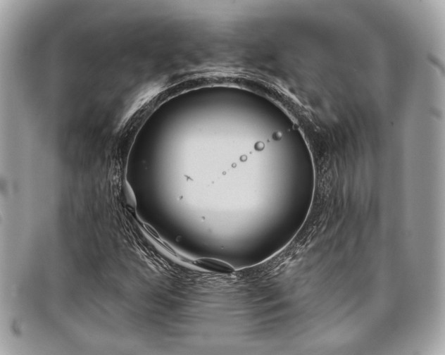 X0000098031255200804071409