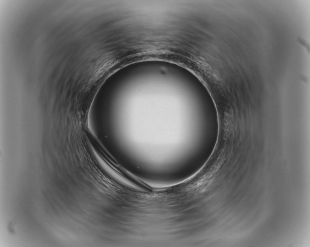 X0000098031257200804071409