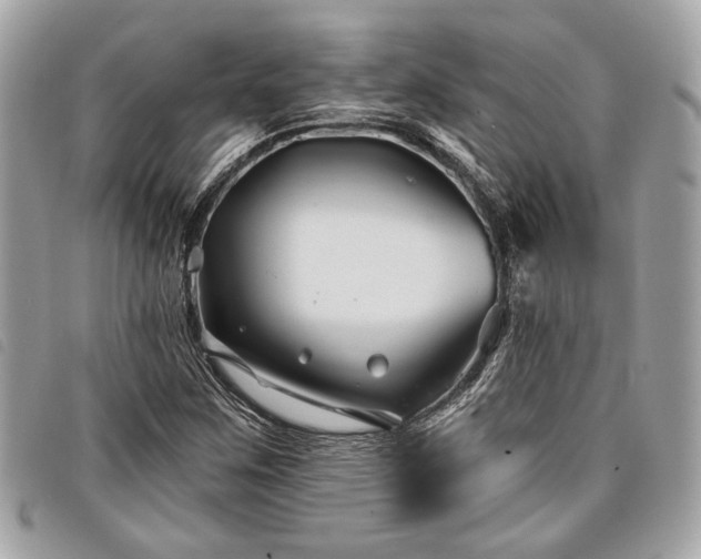 X0000098031259200804071409