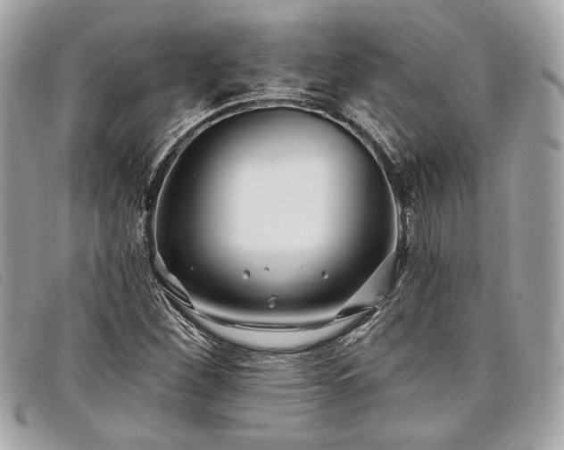 X0000098031260200804071409