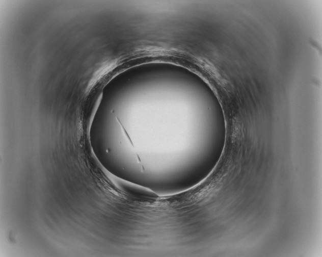 X0000098031261200804071409