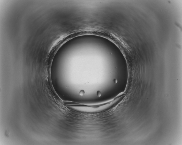 X0000098031262200804071409