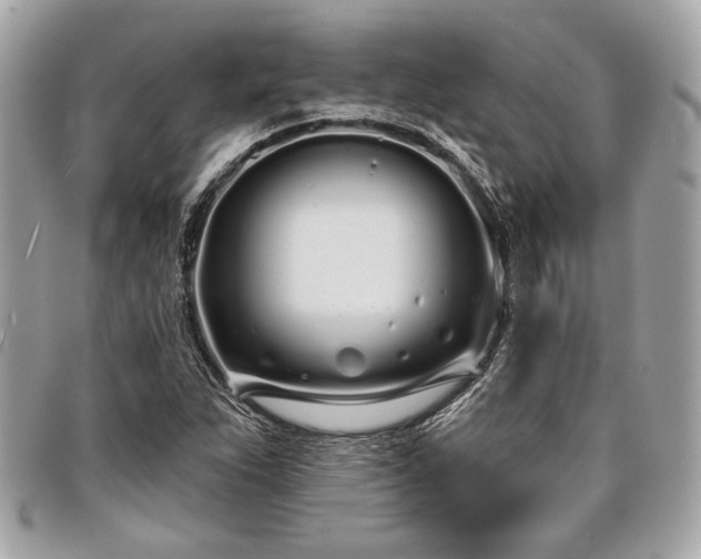 X0000098031263200804071409