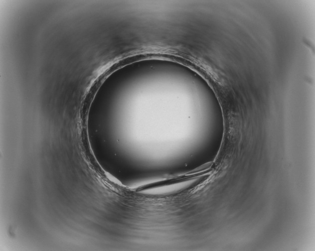 X0000098031264200804071409