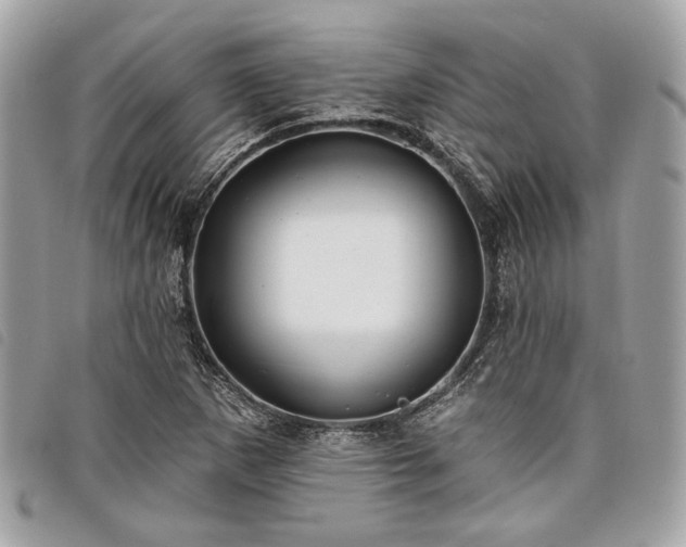 X0000098031265200804071409