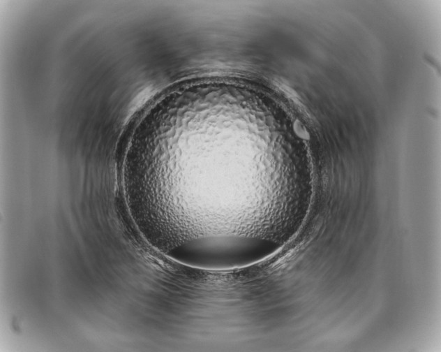 X0000098031267200804071409