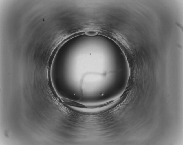 X0000098031268200804071409